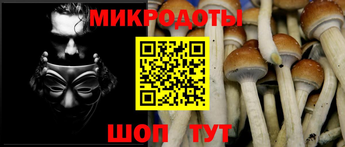 Нижневартовск  Псилоцибиновые грибы прущие грибы  Вход с VPN 